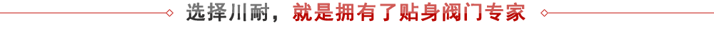 上海川耐 - 專業閥門生產廠家